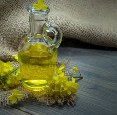 rbd canola oil for sale