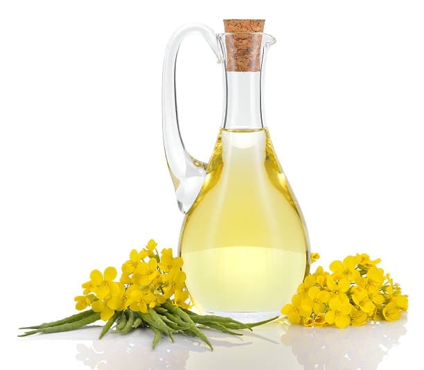 refined canola oil for sale