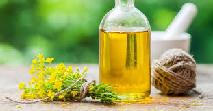 Best refined canola oil for cooking USA