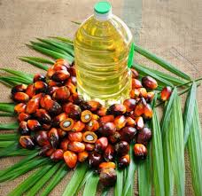 CP10 palm oil for sale