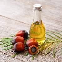 CP8 palm oil importers