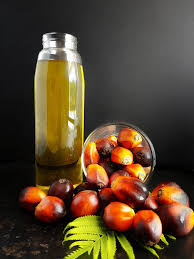 CP8 palm oil trade opportunities