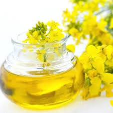 Canola oil bulk supply Caribbean region