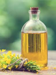 Non-GMO canola oil North America