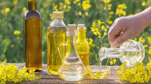 Refined canola oil manufacturers Americas