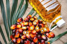 Uses of Refined Palm Oil in Cooking