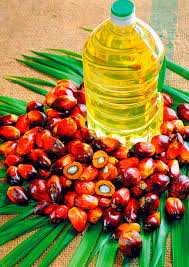 benefits of refined palm oil CP10