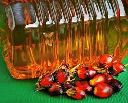 buy refined palm oil CP8
