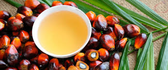 palm oil CP10 manufacturers