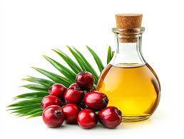 palm oil fractionation process