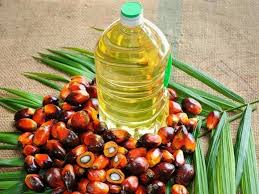 palm oil international trade