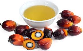 refined bleached deodorized palm oil