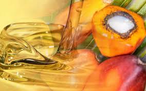 refined palm oil for export