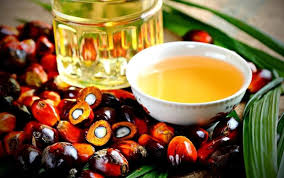 refined palm oil global market