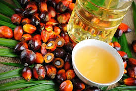 refined palm oil specifications CP8