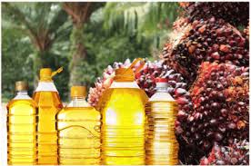 refined palm oil uses in food industry
