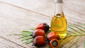 top palm oil exporting countries