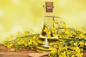 Canola oil export services to Caribbean islands