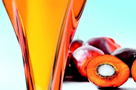 High Quality Refined Palm Oil Export to America and Nearby Island Countries
