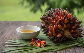 Bulk Palm Oil Exporter