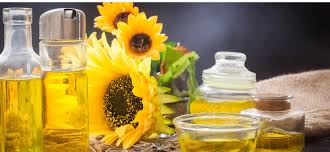 Crude Sunflower Oil Price Trends in the Americas