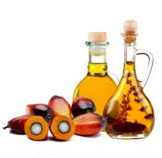 Wholesale Palm Oil for Importers