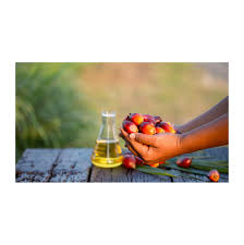 bulk palm oil shipment to Hungary