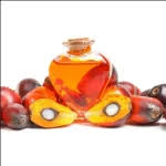 bulk palm oil supplier for China