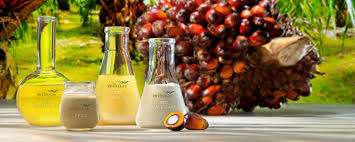 palm oil exporter for FMCG manufacturers