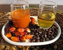 palm oil supplier for Chinese importers