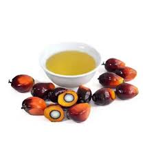 refined palm oil exporter to China