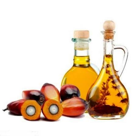 Halal Certified Palm Oil Supplier