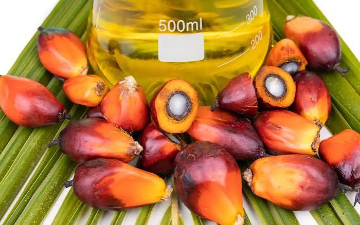 Palm Oil Vitamin E and Tocotrienol Content