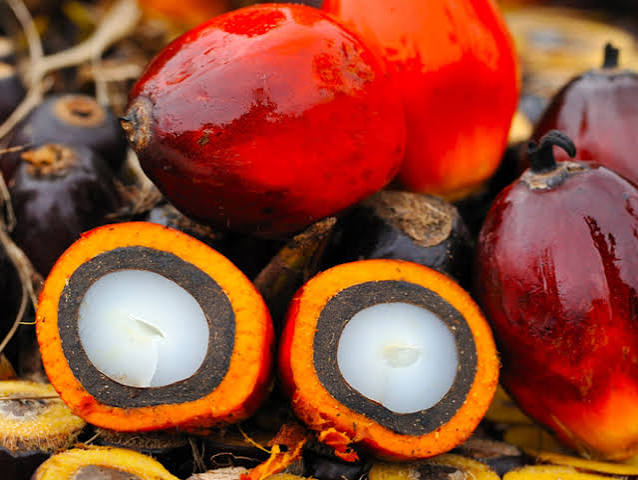 Palm Stearin vs Palm Olein