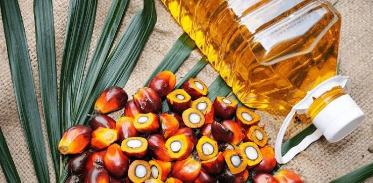 RSPO Certified Sustainable Palm Oil