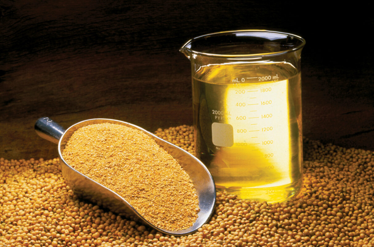 Palm Oil vs Soybean Oil