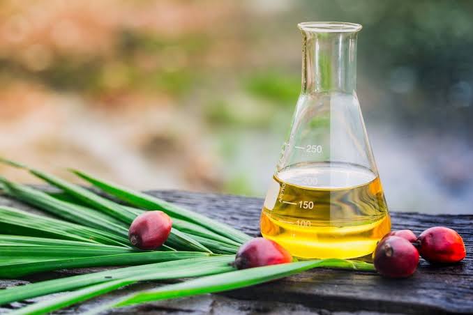 refined palm oil quality standards
