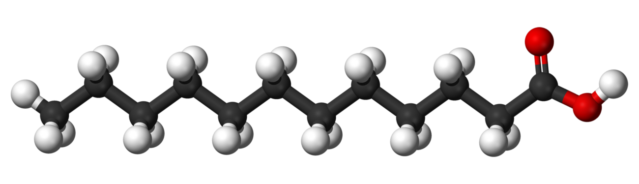 lauric acid in coconut oil
