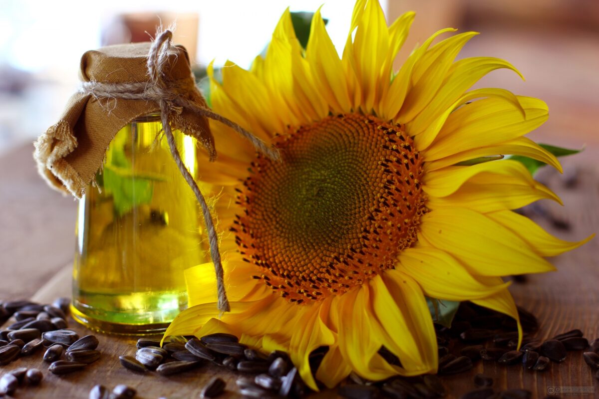 refined sunflower oil specification