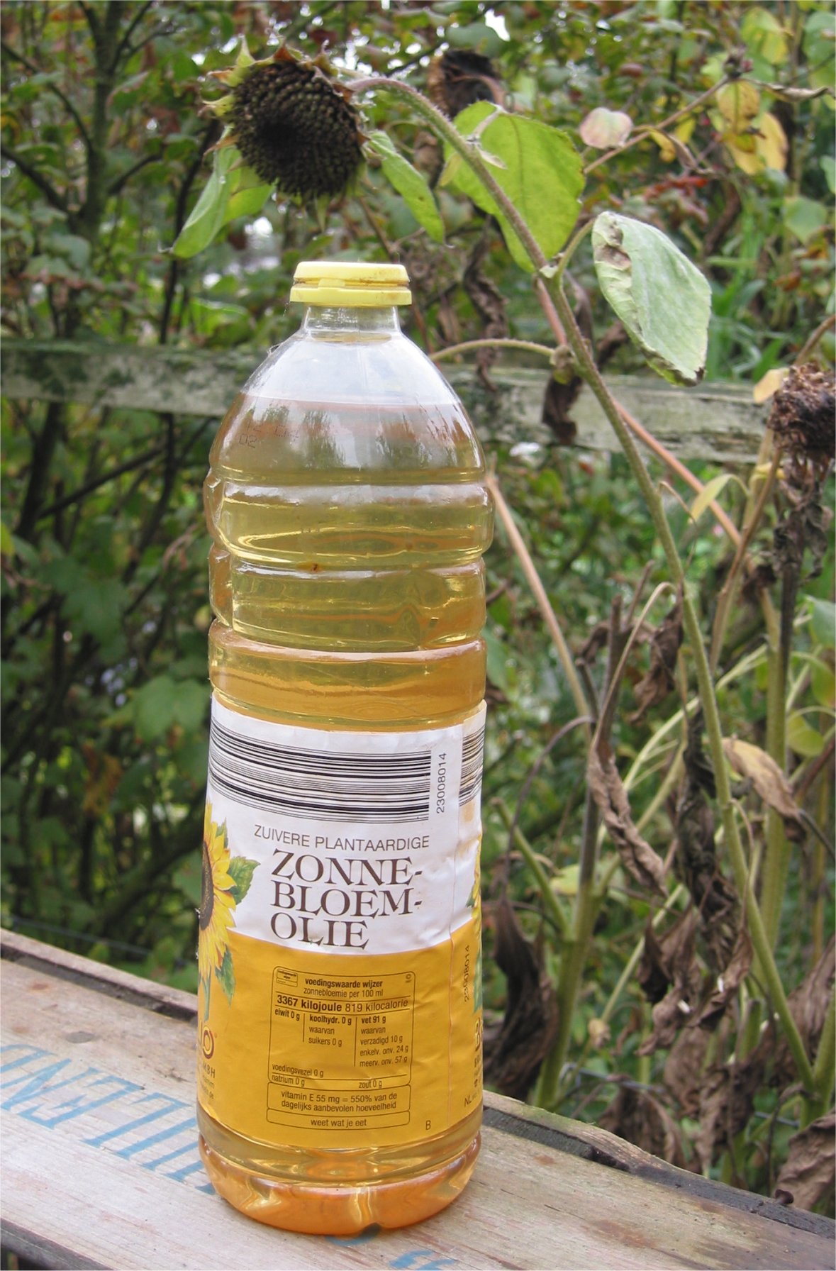 sunflower oil vs palm oil